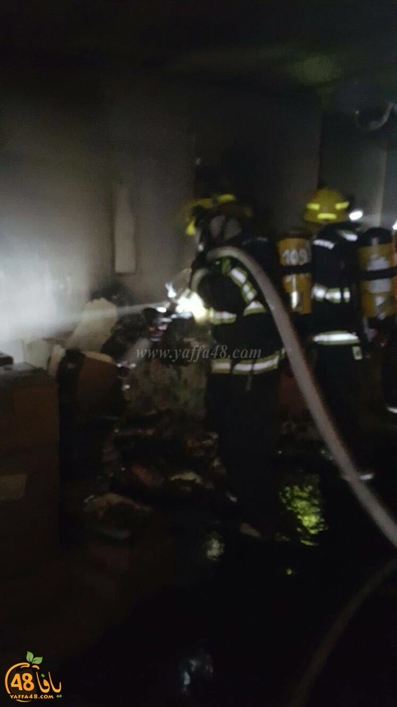 firei in lud aj (2).jpg